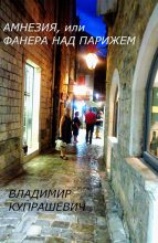 Книга - Владимир Ильич Купрашевич - Амнезия, или Фанера над Парижем (СИ) (fb2) читать без регистрации