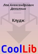 Книга - Лев Александрович Данилкин - Клудж (fb2) читать без регистрации