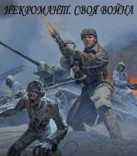 Книга - Руслан Ряфатевич Агишев - Своя война (fb2) читать без регистрации