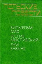 Книга - Веслав  Мысливский - Польские повести (fb2) читать без регистрации