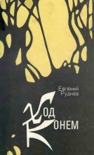 Книга - Евгений Николаевич Руднев - Ход конем (fb2) читать без регистрации