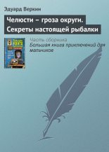 Книга - Эдуард Николаевич Веркин - Челюсти – гроза округи. Секреты настоящей рыбалки (fb2) читать без регистрации