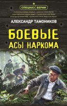 Книга - Александр Александрович Тамоников - Боевые асы наркома (fb2) читать без регистрации