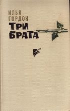 Книга - Илья Зиновьевич Гордон - Три брата (fb2) читать без регистрации