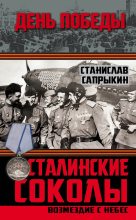Книга - Станислав Рудольфович Сапрыкин - Сталинские соколы. Возмездие с небес (fb2) читать без регистрации