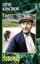 Книга - Петр Николаевич Краснов (писатель) - Новомир (fb2) читать без регистрации