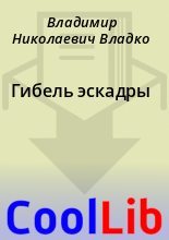 Книга - Владимир Николаевич Владко - Гибель эскадры (fb2) читать без регистрации