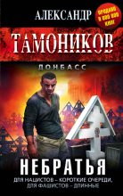 Книга - Александр Александрович Тамоников - Небратья (fb2) читать без регистрации