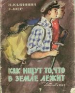 Книга - Надежда Дмитриевна Калинина - Как ищут то, что в земле лежит (fb2) читать без регистрации