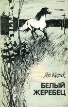 Книга - Ян  Козак - Белый жеребец (fb2) читать без регистрации