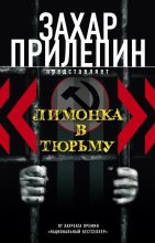 Книга - Захар  Прилепин - «Лимонка» в тюрьму (сборник) (fb2) читать без регистрации
