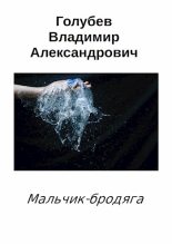 Книга - Владимир Александрович Голубев - Мальчик-бродяга (fb2) читать без регистрации
