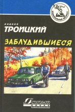 Книга - Андрей Борисович Троицкий - Заблудившиеся (fb2) читать без регистрации