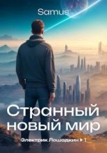 Книга - Самат Айдосович Сейтимбетов - Странный новый мир (fb2) читать без регистрации
