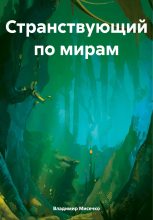 Книга - Владимир Александрович Мисечко - Странствующий по мирам (fb2) читать без регистрации