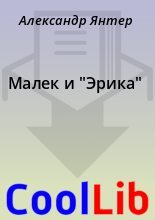 Книга - Александр  Янтер - Малек и "Эрика" (fb2) читать без регистрации
