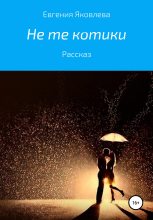 Книга - Евгения  Яковлева - Не те котики (fb2) читать без регистрации