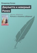 Книга - Владимир  Качан - Джульетта и неверный Ромео (fb2) читать без регистрации