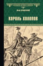 Книга - Юзеф Игнаций Крашевский - Король холопов (fb2) читать без регистрации