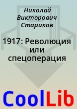 Книга - Николай Викторович Стариков - 1917: Революция или спецоперация (fb2) читать без регистрации