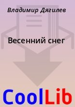 Книга - Владимир  Дягилев - Весенний снег (fb2) читать без регистрации