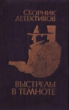 Книга - Анатолий  Полянский - Взрыв (fb2) читать без регистрации