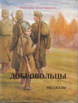 Книга - Николай Николаевич Асеев - Добровольцы (fb2) читать без регистрации