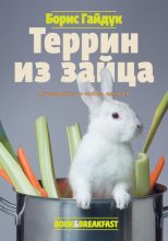 Книга - Борис Викторович Гайдук - Террин из зайца (fb2) читать без регистрации