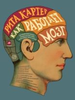 Книга - Рита  Картер - Как работает мозг (fb2) читать без регистрации