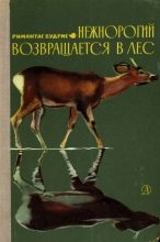 Книга - Римантас  Будрис - Нежнорогий возвращается в лес (fb2) читать без регистрации