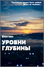 Книга -   Shin-san - Уровни Глубины (fb2) читать без регистрации