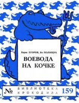 Книга - Борис  Егоров - Воевода на кочке (fb2) читать без регистрации