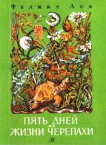 Книга - Феликс Григорьевич Лев - Пять дней из жизни черепахи   (fb2) читать без регистрации