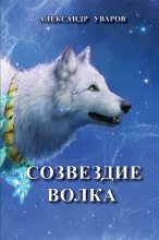 Книга - Александр Владимирович Уваров - Созвездие Волка (fb2) читать без регистрации