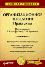 Книга - Ольга  Громова - Организационное поведение: Практикум (fb2) читать без регистрации