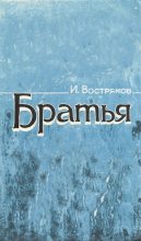 Книга - Игорь Дмитриевич Востряков - Братья (fb2) читать без регистрации