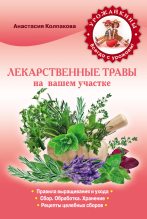 Книга - Анастасия Витальевна Колпакова - Лекарственные травы вашем на участке (fb2) читать без регистрации