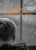 Книга - Станислава  Бер - Простое Новогоднее чудо (fb2) читать без регистрации