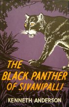 Книга - Кеннет  Андерсон - Черная пантера из Шиванипали (fb2) читать без регистрации