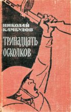 Книга - Николай Иванович Камбулов - Тринадцать осколков (fb2) читать без регистрации