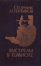 Книга - Владимир  Савельев - Выстрелы в темноте (fb2) читать без регистрации