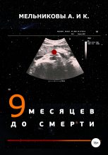 Книга - Анастасия Александровна Мельникова - 9 месяцев до смерти (fb2) читать без регистрации