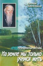 Книга - Протоиерей Валентин  Бирюков - На земле мы только учимся жить. Непридуманные рассказы. (fb2) читать без регистрации