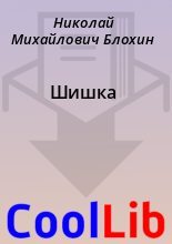 Книга - Николай Михайлович Блохин - Шишка (fb2) читать без регистрации