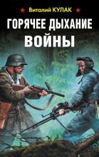 Книга - Виталий Васильевич Кулак - Горячее дыхание войны (fb2) читать без регистрации