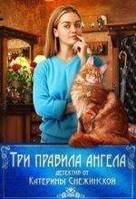 Книга - Катерина  Снежинская - Три правила ангела (СИ) (fb2) читать без регистрации