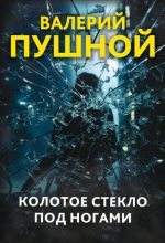 Книга - Валерий  Пушной - Колотое стекло под ногами (fb2) читать без регистрации