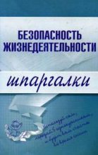 Книга - Ирина Валерьевна Ткаченко - Безопасность жизнедеятельности (fb2) читать без регистрации