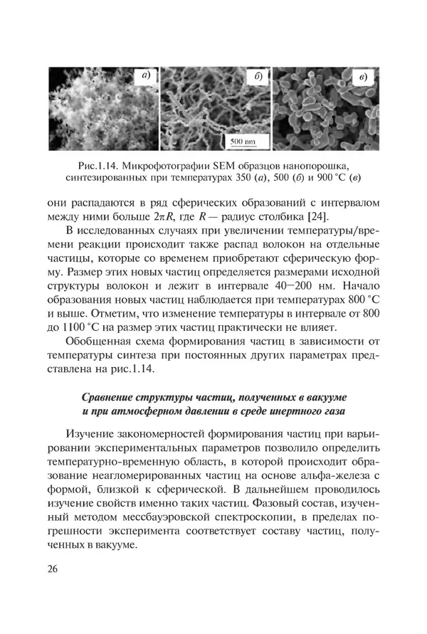 КулЛиб. Андрей Иванович Рудской - Нанотехнологии в металлургии. Страница № 27