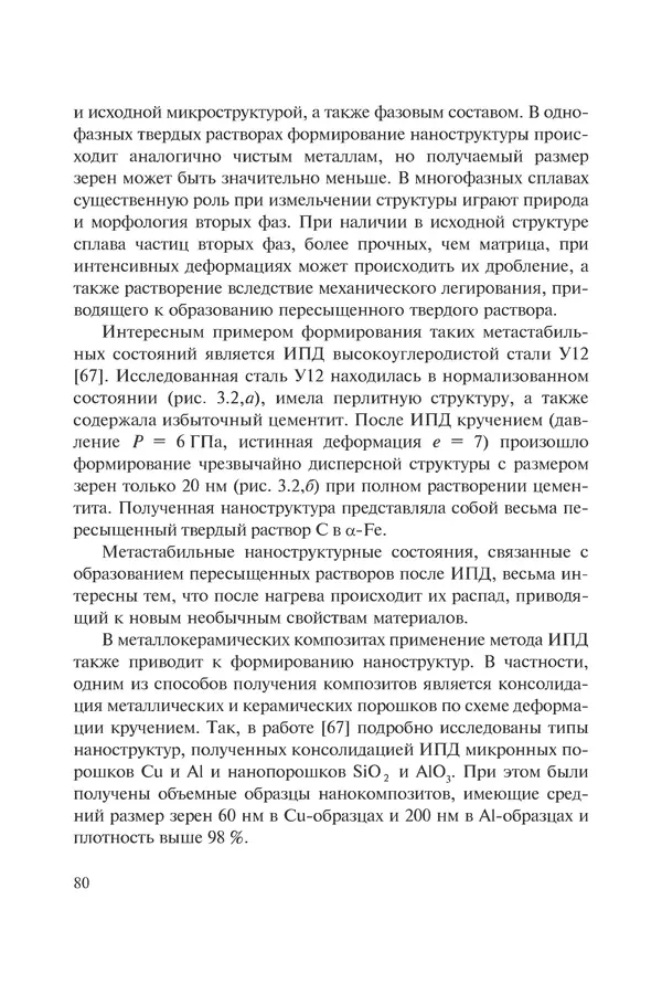КулЛиб. Андрей Иванович Рудской - Нанотехнологии в металлургии. Страница № 81